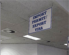 Import and export section